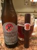 Dogfish Head & The Angel's Anvil.jpg