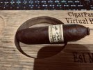 t52pig.JPG