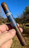 Penn Standard Maduro.jpg