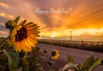 HBDLimonSunsetSigned8LowerLeftLeafGreen.jpg