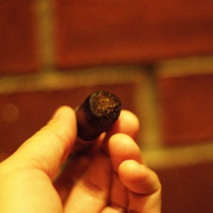 CAO Gold Maduro