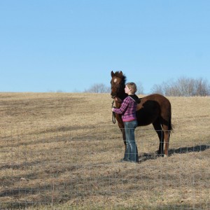 Granddaughter's new horse