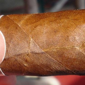 Montecristo No. 2 016