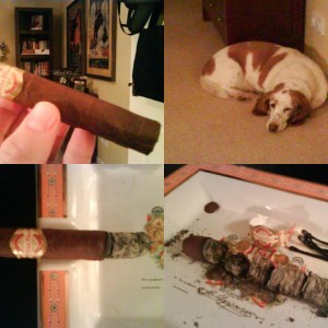 Dona Flor Robusto.jpg