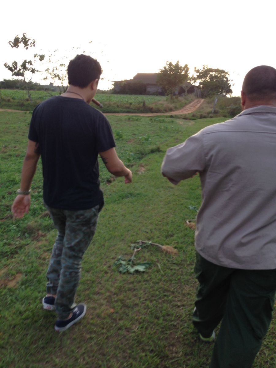 A walk through Disney Land - no local environment or climate can ever compare to smoking a cigar here in San Luis, Pinar del Rio