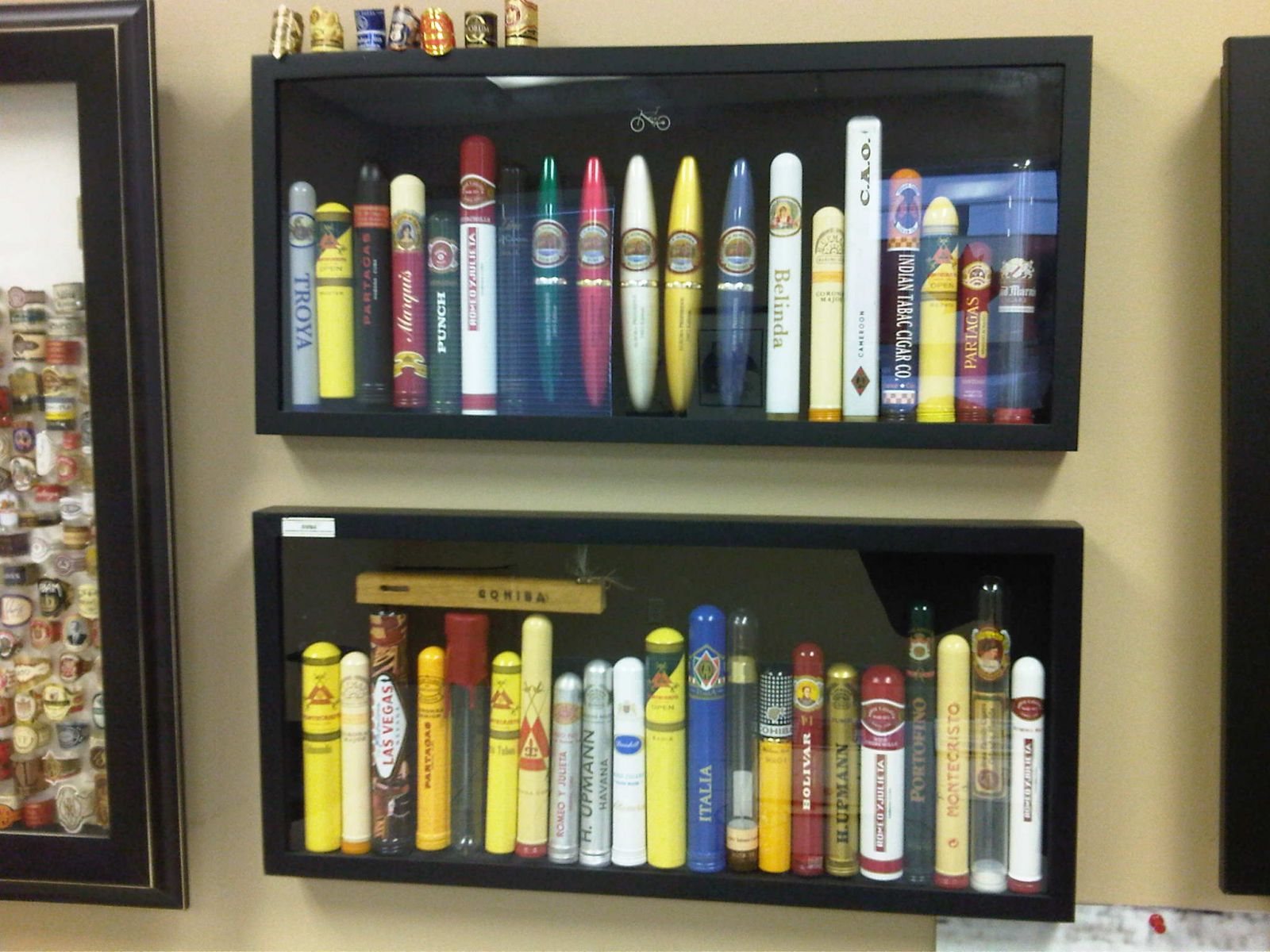 cigar band display 0848