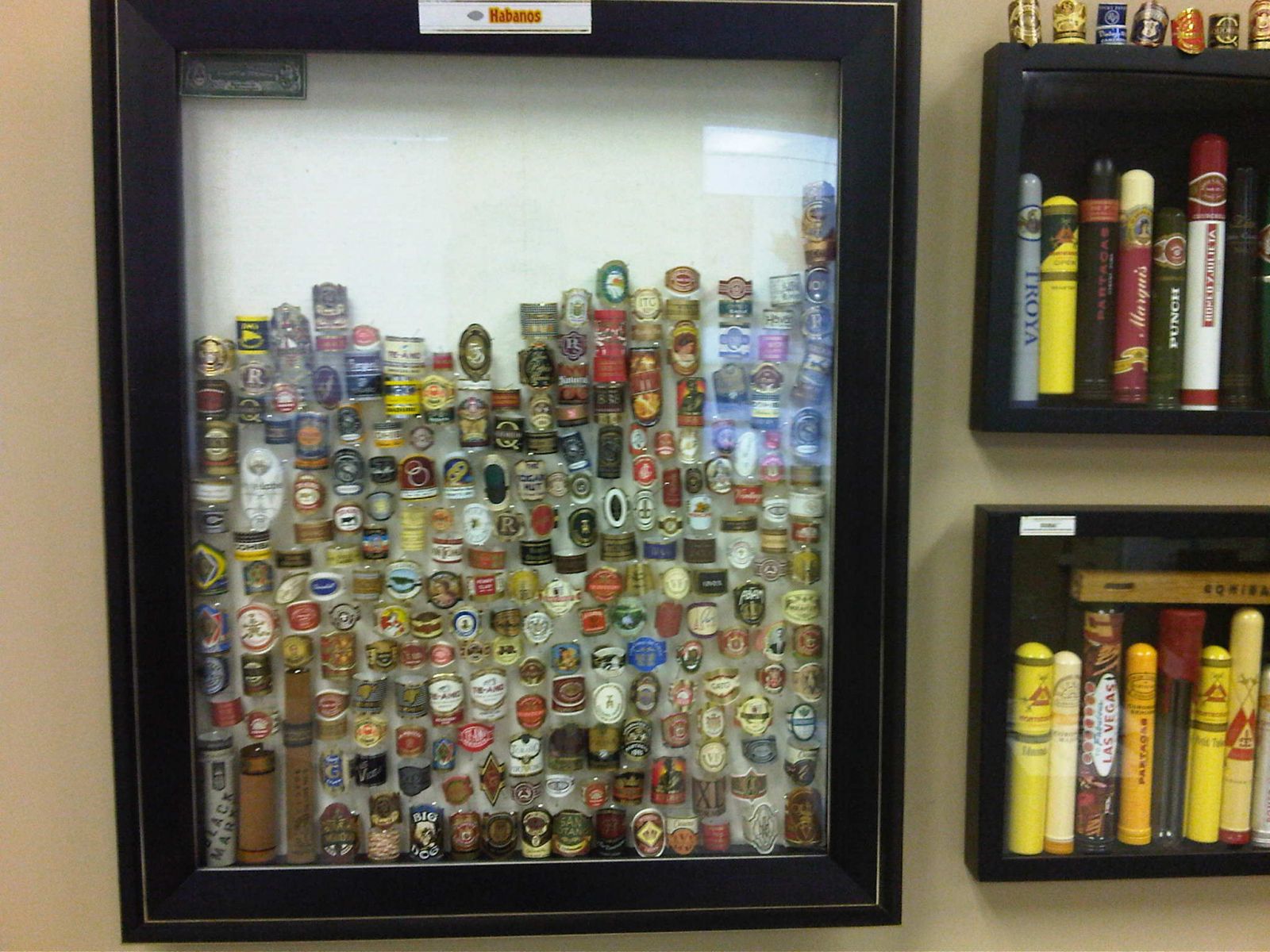 cigar band display2 0848