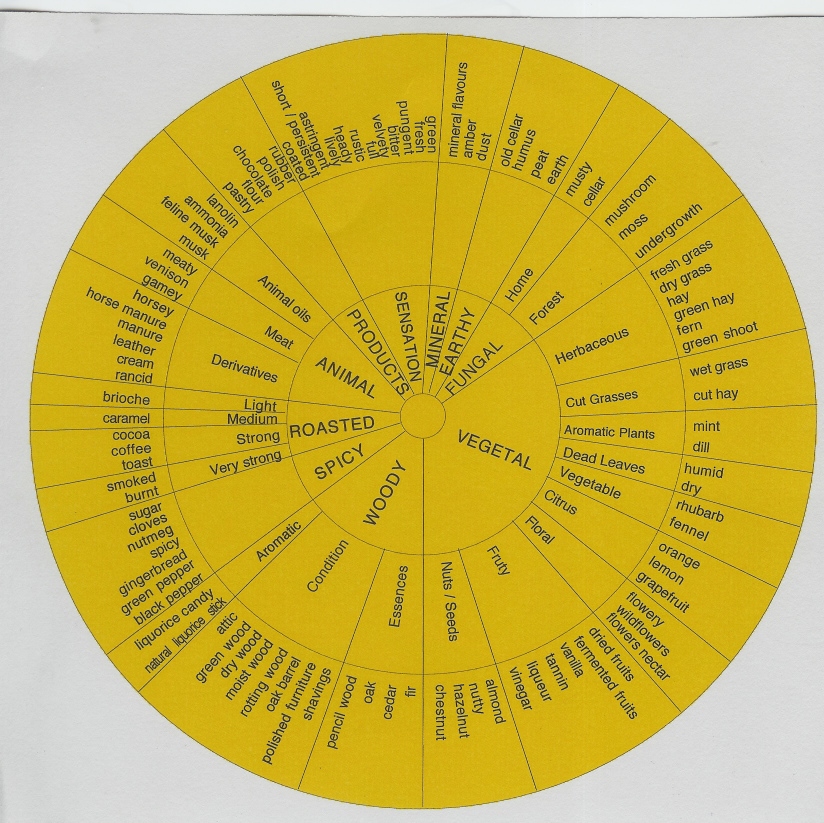 Flavor Wheel