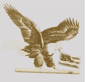 My Eagle.png