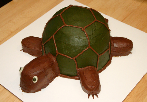 turtle-cake.jpg