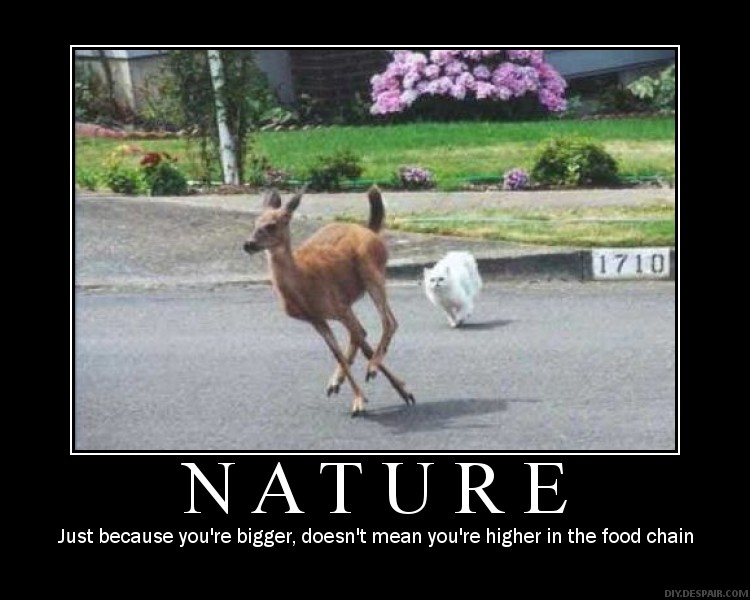 1173277999-Naturedemotivator.jpg