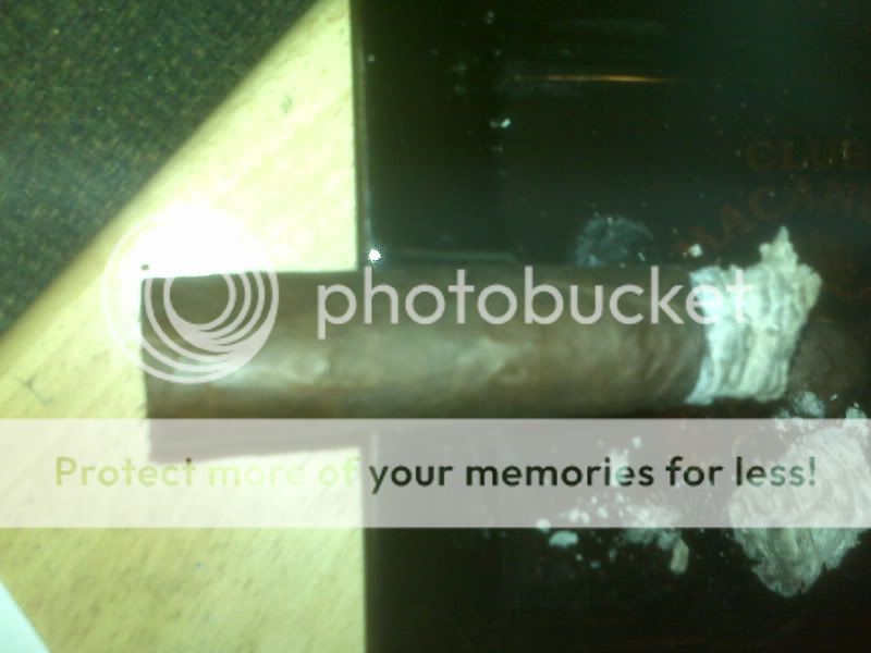 IMG00424.jpg