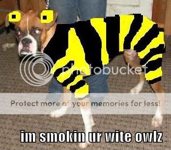 TimsDog2.jpg